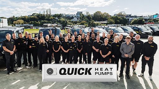 Heat Pump Experts In Stanley Bay
